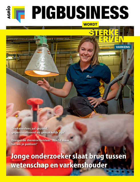 Pig Business Compleet